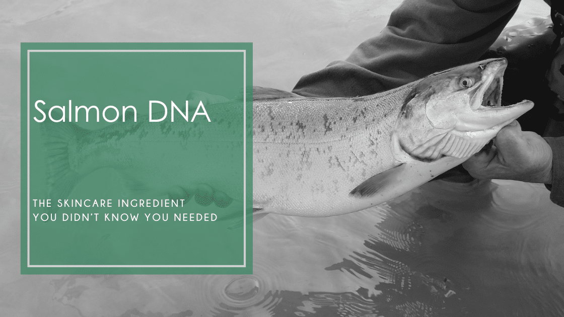 Salmon DNA in skincare. Learn how PDRN boosts collagen, hydrates deeply, and heals damaged skin